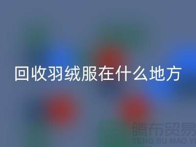 ### 高价九游体育（中国）官方授权网站羽绒服在什么地方—诚信可靠合作，上海腾布贸易