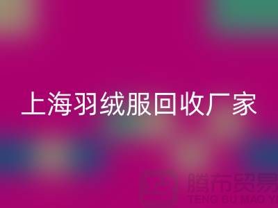羽绒服九游体育（中国）官方授权网站：环保与经济的双重考量，上海厂家引领行业新风尚