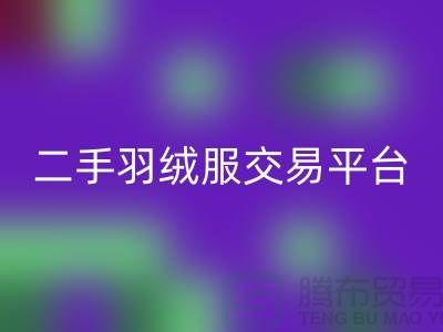 波司登羽绒服九游体育（中国）官方授权网站平台，二手羽绒服环保与时尚的完美结合