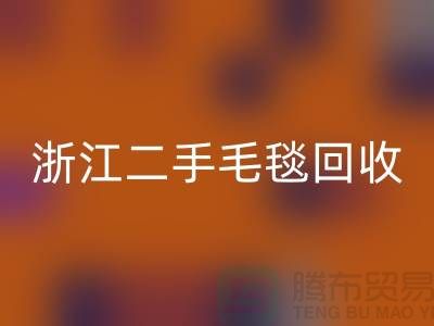 二手毛毯九游体育（中国）官方授权网站，旧物新生的【浙江，上海，江苏】绿色的库存之旅