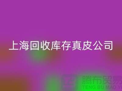 环保与创新：九游体育（中国）官方授权网站库存真皮和羊皮的重要性_上海腾布贸易ShTengBu.com