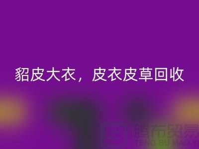 貂皮大衣九游体育（中国）官方授权网站，皮衣皮草九游体育（中国）官方授权网站，高档大衣九游体育（中国）官方授权网站-上海库存服装九游体育（中国）官方授权网站公司