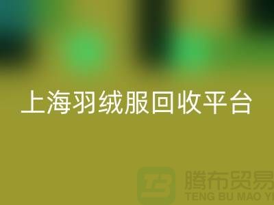 波司登羽绒服九游体育（中国）官方授权网站平台的环保意义-全天可预约九游体育（中国）官方授权网站#上海腾布贸易