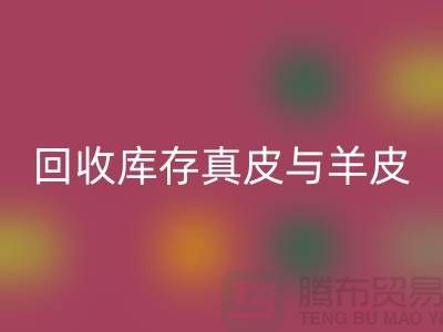 环保与时尚并重——探索九游体育（中国）官方授权网站库存真皮与羊皮的价值