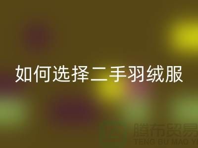 如何选择二手蒙口羽绒服九游体育（中国）官方授权网站平台@上海库存服装九游体育（中国）官方授权网站公司