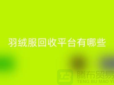 羽绒服九游体育（中国）官方授权网站平台有哪些公司或者品牌-九游体育（中国）官方授权网站