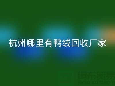 揭秘羽绒九游体育（中国）官方授权网站市场，每斤价值几何？杭州鸭绒九游体育（中国）官方授权网站厂家