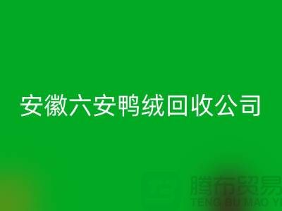 让羽绒九游体育（中国）官方授权网站加工成为绿色产业的新引擎-安徽六安鸭绒九游体育（中国）官方授权网站公司