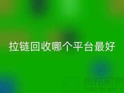 ### 废旧拉链九游体育（中国）官方授权网站哪个平台最好-箱包拉链九游体育（中国）官方授权网站市场