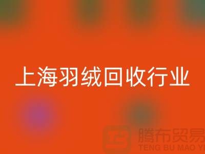 #### 上海羽绒九游体育（中国）官方授权网站厂家推动行业发展，展望未来，创新发展