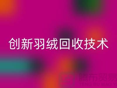 创新羽绒九游体育（中国）官方授权网站技术，环保的未来