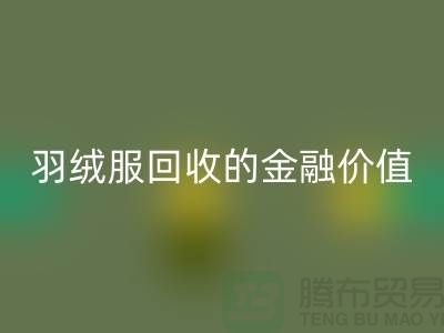 了解羽绒服九游体育（中国）官方授权网站的金融价值-浙江鸭绒九游体育（中国）官方授权网站厂家