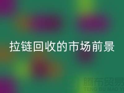#### 南通拉链九游体育（中国）官方授权网站的市场动态与前景-上海拉链头九游体育（中国）官方授权网站公司