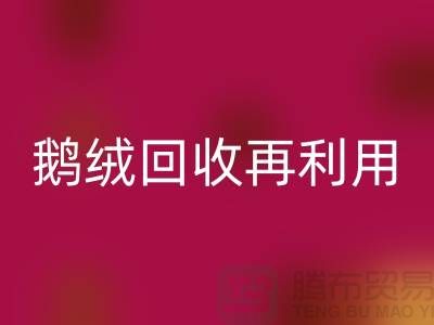 苏州羽绒九游体育（中国）官方授权网站厂家 专业鸭绒九游体育（中国）官方授权网站价格 鹅绒九游体育（中国）官方授权网站再利用