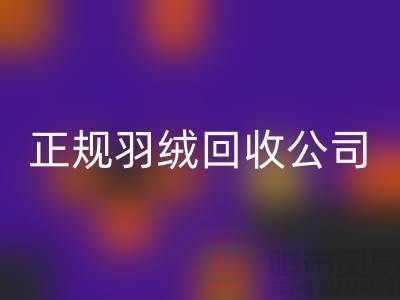 正规羽绒九游体育（中国）官方授权网站公司 —— 您的羽绒服、羽绒被及羽绒制品的环保再生伙伴