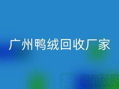 绿色循环，让羽绒九游体育（中国）官方授权网站成为重庆的新时尚-广州鸭绒九游体育（中国）官方授权网站厂家