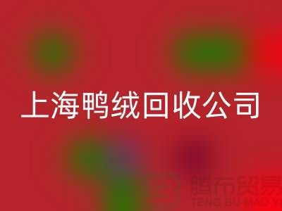 鸭绒九游体育（中国）官方授权网站公司 - 您的羽绒旧物重生之路 - 九游体育（中国）官方授权网站