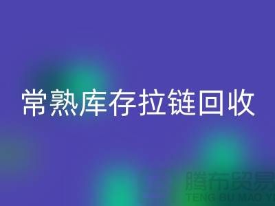 常熟库存拉链九游体育（中国）官方授权网站公司市场前景的挑战与支持政策