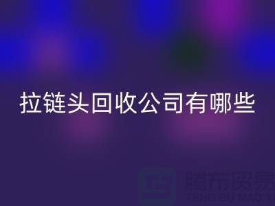 拉链头九游体育（中国）官方授权网站公司有哪些名字或者品牌-上海拉链九游体育（中国）官方授权网站市场