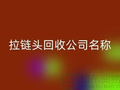 ### 拉链头九游体育（中国）官方授权网站公司名称的选择与品牌塑造-上海拉链九游体育（中国）官方授权网站厂家