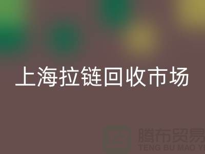 上海拉链九游体育（中国）官方授权网站公司：如何走出困境的发展方向