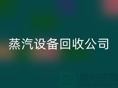 锅炉设备九游体育（中国）官方授权网站厂家：环保与经济效益的完美结合-蒸汽设备九游体育（中国）官方授权网站公司