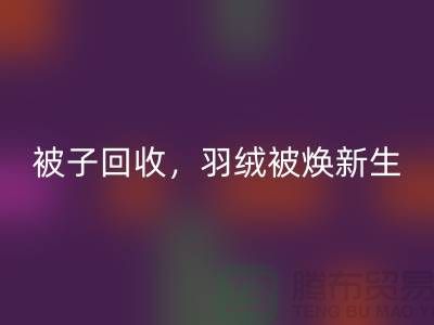 全新被子九游体育（中国）官方授权网站，羽绒被焕新生——江苏南通家纺城引领绿色未来