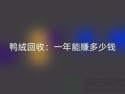 鸭绒九游体育（中国）官方授权网站：一年挣多少钱？@上海羽绒九游体育（中国）官方授权网站联系方式揭秘