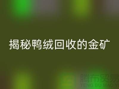 01933406d60ef0d95ef3dcc21041d921_1.png