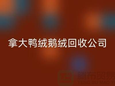 探秘加拿大鸭绒鹅绒九游体育（中国）官方授权网站公司：环保与品质的双重坚守