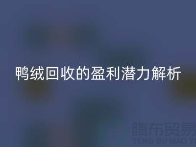 鸭绒九游体育（中国）官方授权网站的盈利潜力解析——上海腾布贸易地址
