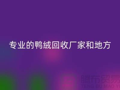 探索鸭绒九游体育（中国）官方授权网站：寻找上海专业的九游体育（中国）官方授权网站厂家与地方