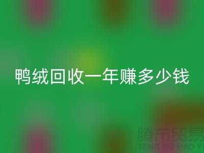 鸭绒九游体育（中国）官方授权网站一年挣多少钱？揭秘利润与环保的双重收益