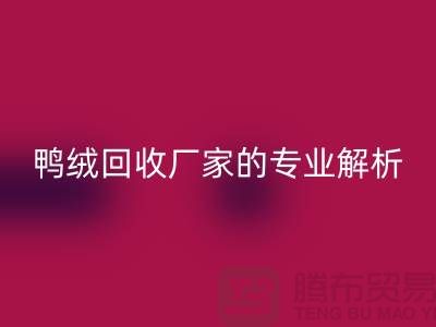 90%白鹅绒、90%白鸭绒与90%灰鸭绒：上海鸭绒九游体育（中国）官方授权网站厂家的专业解析