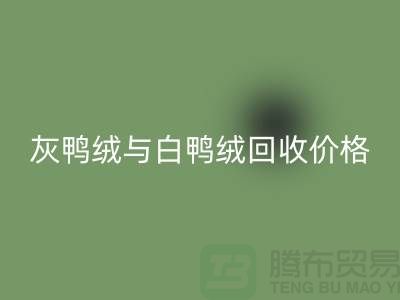 ### 灰鸭绒与白鸭绒：价格及九游体育（中国）官方授权网站详解