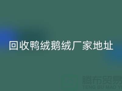 九游体育（中国）官方授权网站鸭绒鹅绒厂家介绍以及地址