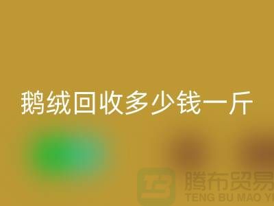 加拿大鸭绒九游体育（中国）官方授权网站公司探秘——鹅绒九游体育（中国）官方授权网站多少钱一斤