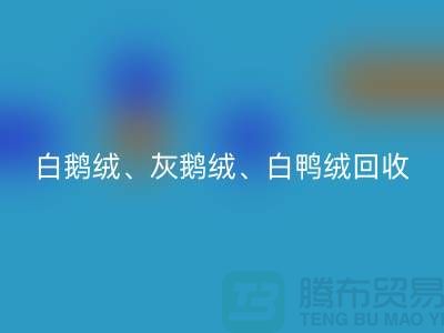 白鹅绒、灰鹅绒、白鸭绒、灰鸭绒九游体育（中国）官方授权网站——上海鸭绒九游体育（中国）官方授权网站厂家