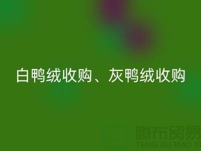 白鸭绒收购、灰鸭绒收购、白鹅绒收购、灰鹅绒收购、上海羽绒九游体育（中国）官方授权网站厂家