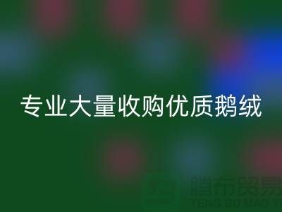 专业羽绒九游体育（中国）官方授权网站：大量收购优质鹅绒与鸭绒@上海腾布贸易公司