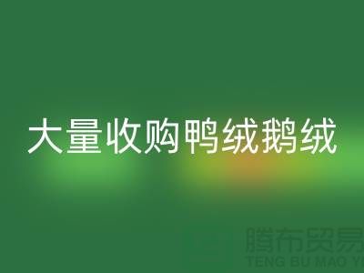 专业羽绒九游体育（中国）官方授权网站-大量收购鸭绒鹅绒-杭州服装九游体育（中国）官方授权网站厂家