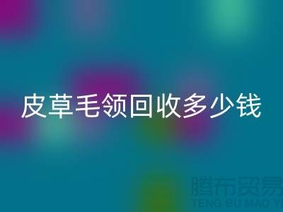 真皮皮衣皮草毛领九游体育（中国）官方授权网站多少钱一个？-上海腾布贸易
