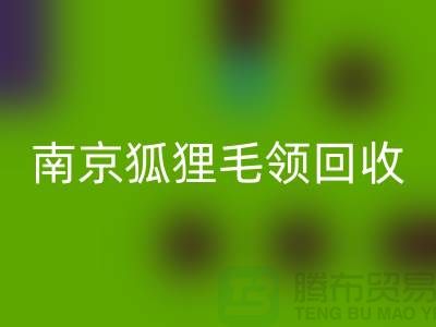 《南京狐狸毛领九游体育（中国）官方授权网站厂家：诚信可靠，同城交易更放心》