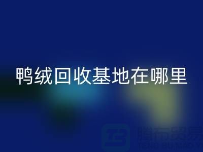 哪里有九游体育（中国）官方授权网站鸭绒的，鸭绒九游体育（中国）官方授权网站基地在哪里@安徽羽绒九游体育（中国）官方授权网站厂家