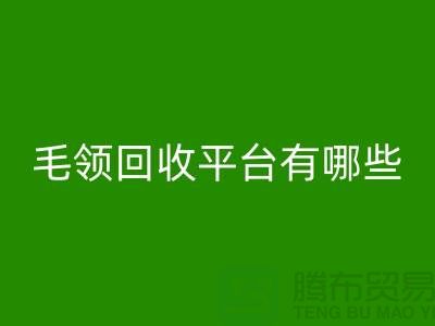 毛领九游体育（中国）官方授权网站平台有哪些公司或者品牌