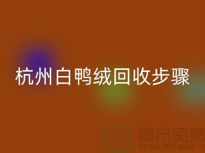 ### 纯白 70 绒、80 绒、90 鸭绒九游体育（中国）官方授权网站步骤@杭州羽绒九游体育（中国）官方授权网站厂家