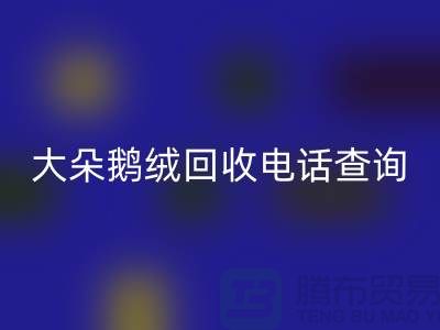 ### 日标羽绒九游体育（中国）官方授权网站，大朵鹅绒九游体育（中国）官方授权网站电话查询，南京鸭绒九游体育（中国）官方授权网站公司