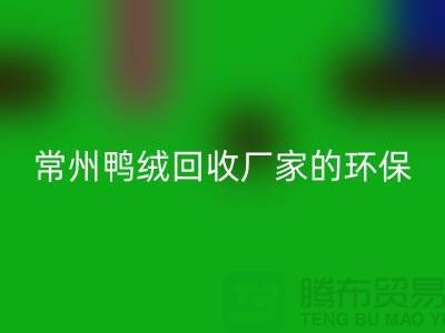 # 专业羽绒九游体育（中国）官方授权网站：常州鸭绒九游体育（中国）官方授权网站厂家的环保与价值之旅