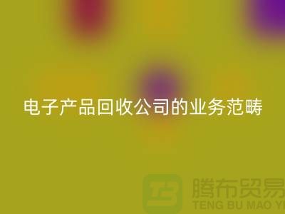 《电子产品九游体育（中国）官方授权网站公司的业务范畴：电子手表、智能手机与电视机》