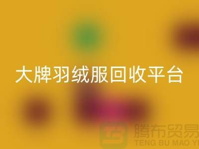 羽绒服焕新记：大牌九游体育（中国）官方授权网站，温暖再续